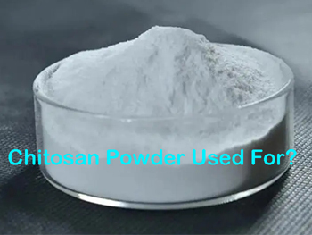 What Is Chitosan Powder Used For?